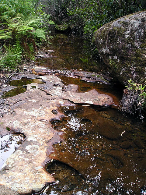 Creek