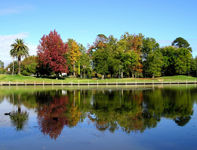 Reflections