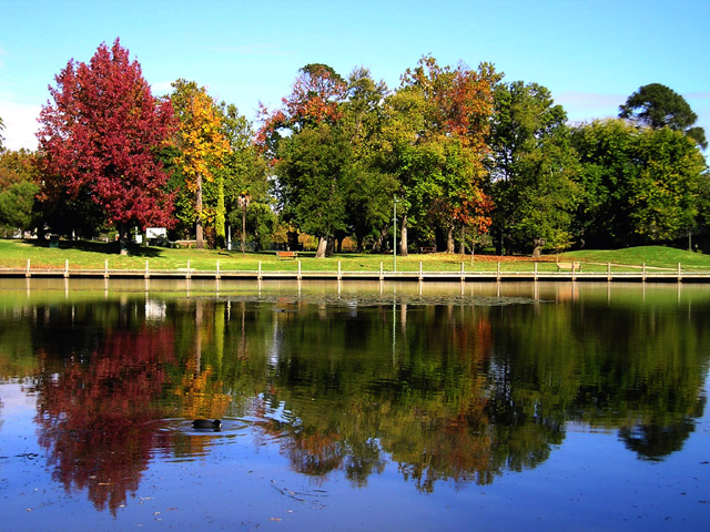 Autumn in Benalla