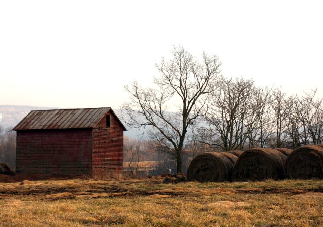 Virginia Barn