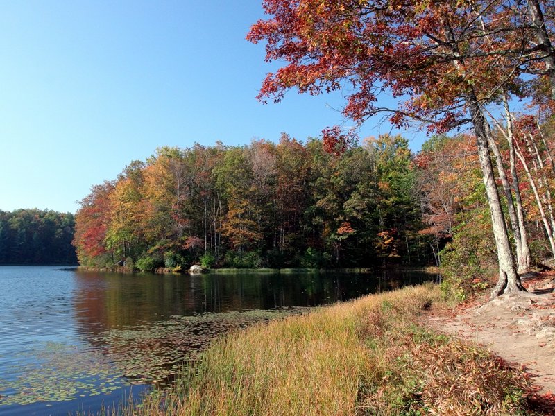 Babcock Lake