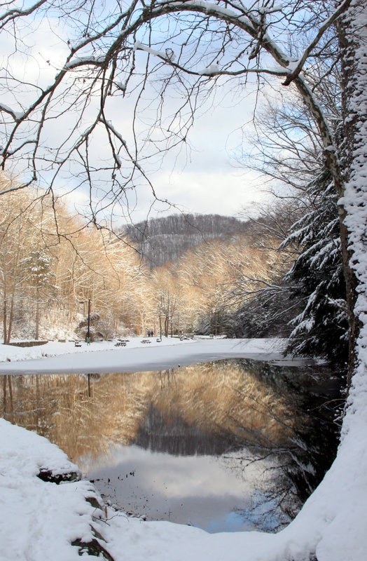 Reflecting Pond