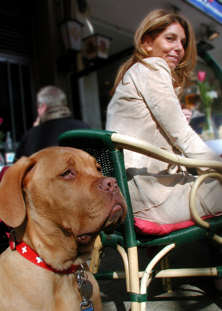 Lunch with Fido