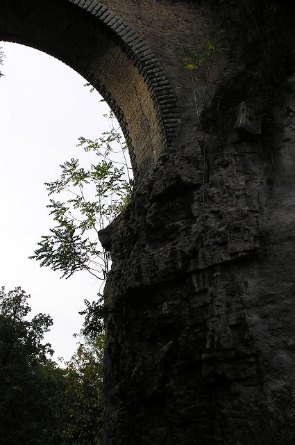 PA035794.jpg