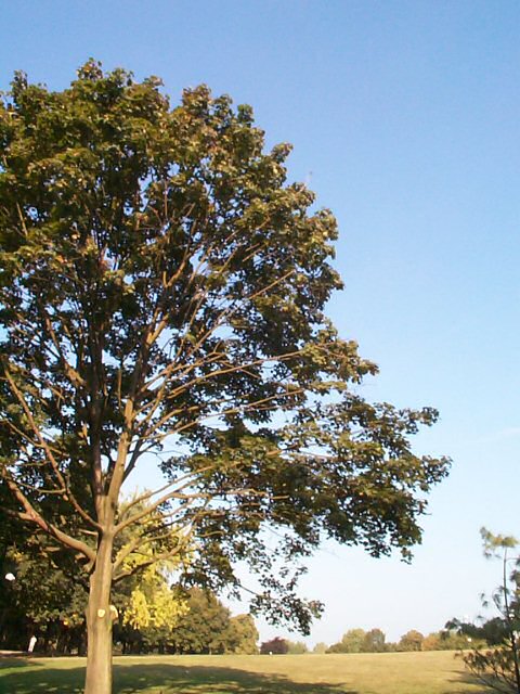 DCP04999.jpg