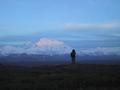 denali
