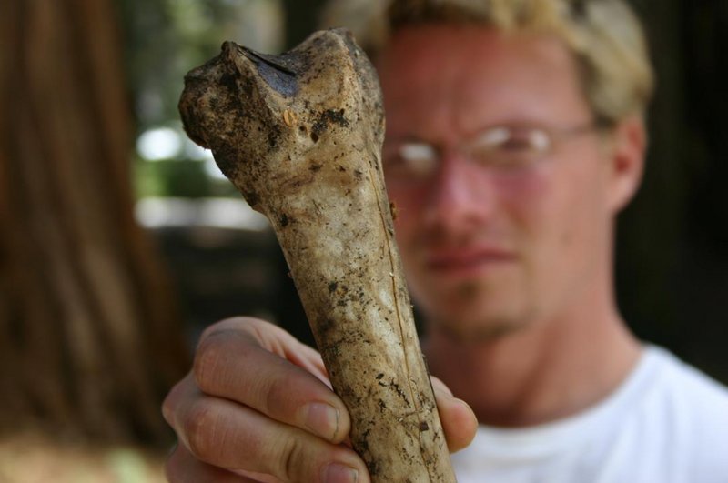 bone.jpg