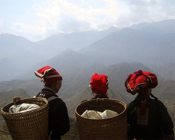 red tzao in Sapa