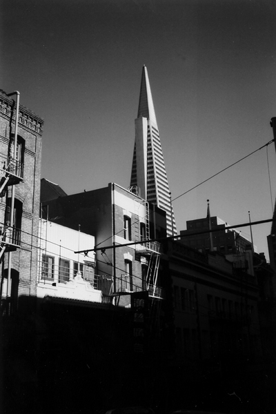 Standing Tall