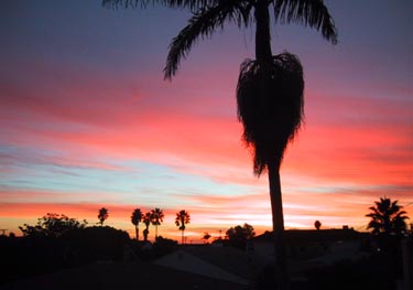 sunset