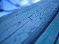 The Blues