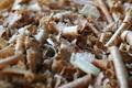 Sawdust Macro