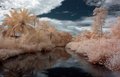 Bocas del Toro - Infrared