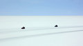 Salt Flats