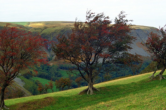 Welsh Hillside