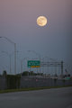 Moon In Miami