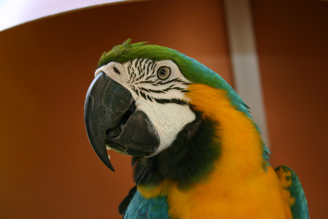 IMG_1880.jpg