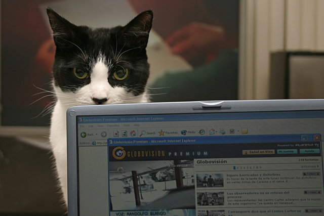 Trinity Laptop1