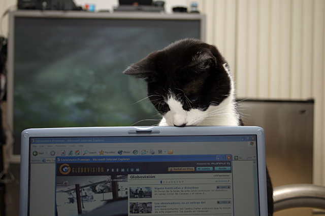Trinity Laptop 2
