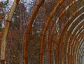 Abstract