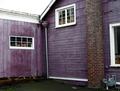 Purple Building