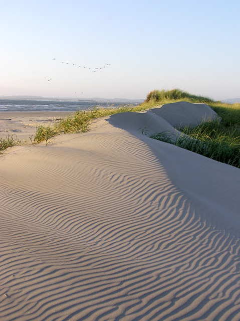 Shadow Dunes II