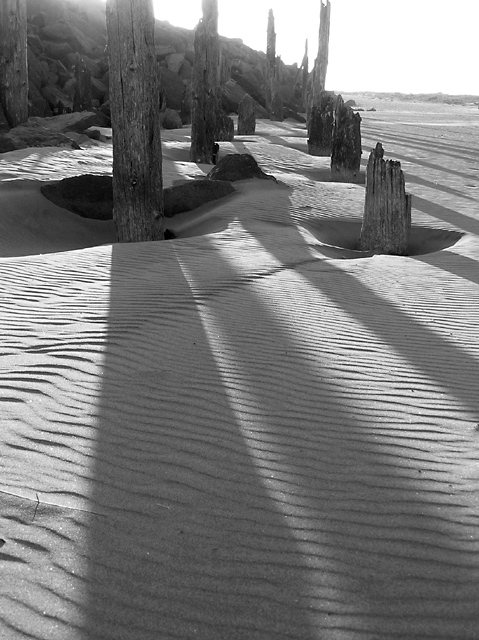 Old Pilings in Shadow