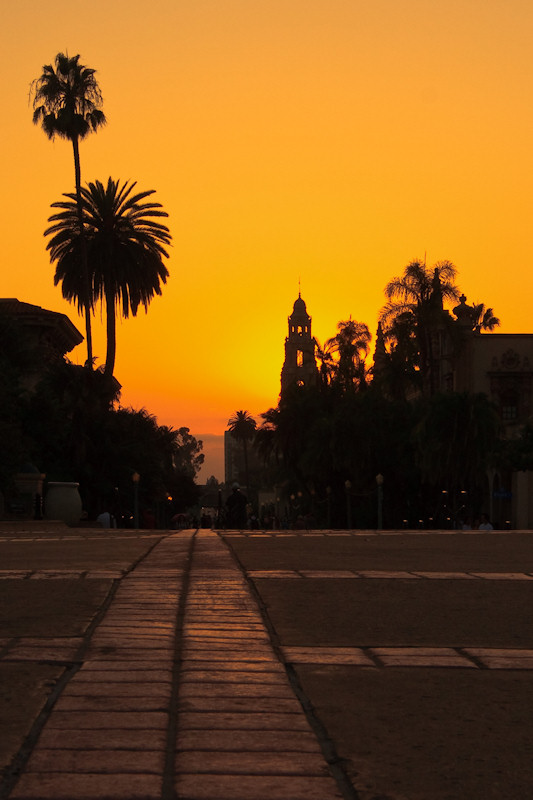 Balboa in the Evening - Original