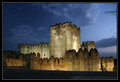 Castle
