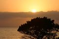 California Coast