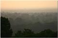 Cambodian Jungle at Dawn