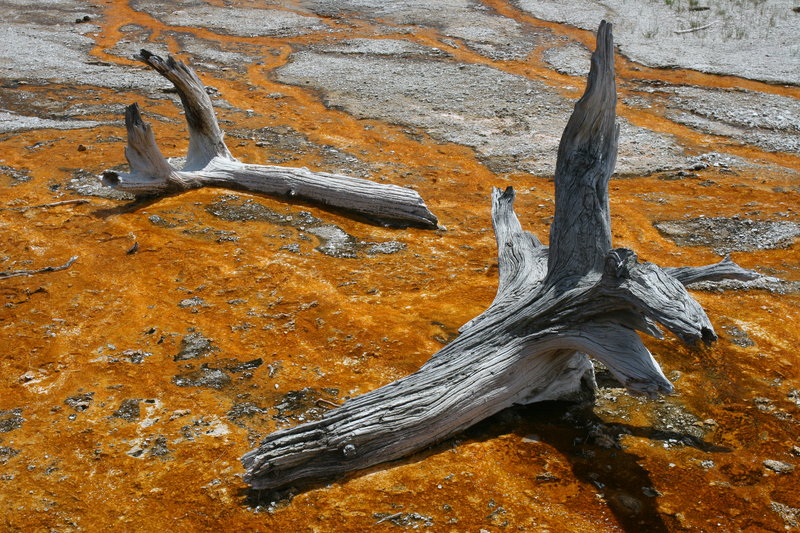 Sulfuric Decay