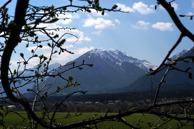 The Alps