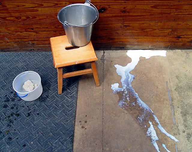 Spilt Milk