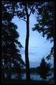 Blue Celt