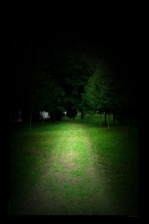 Green Man's Path