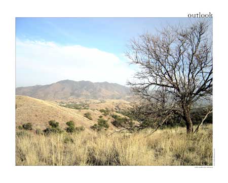 Outlook