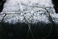 frost.jpg