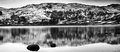 Tarn