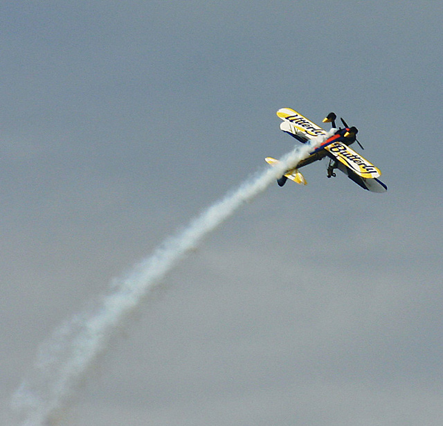 Wing walkers