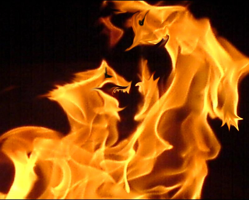 fire.jpg