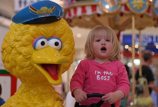 Phoebe and Big Bird