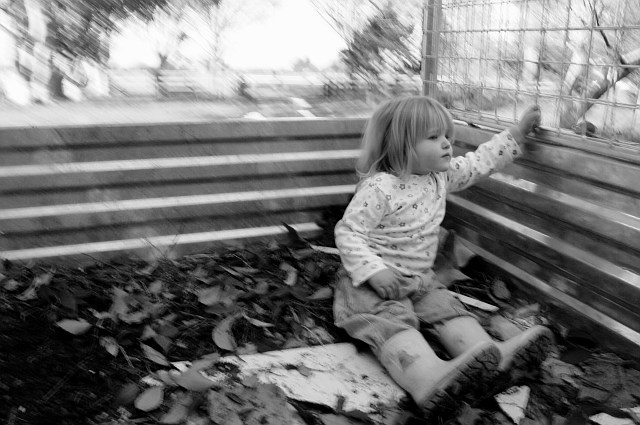 Trailer Ride