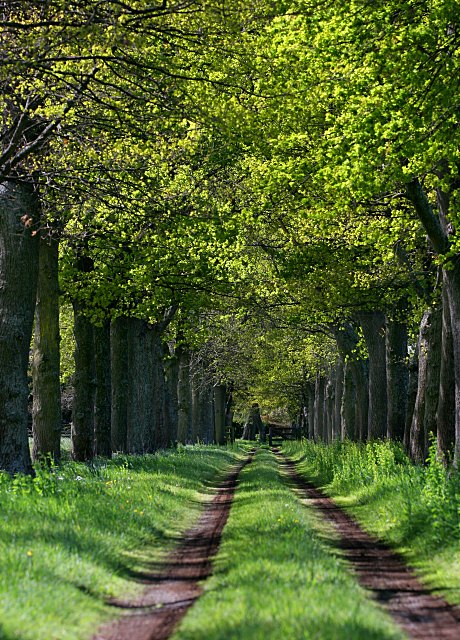 Leading driveway