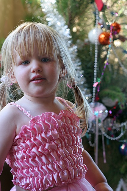 Christmas Princess