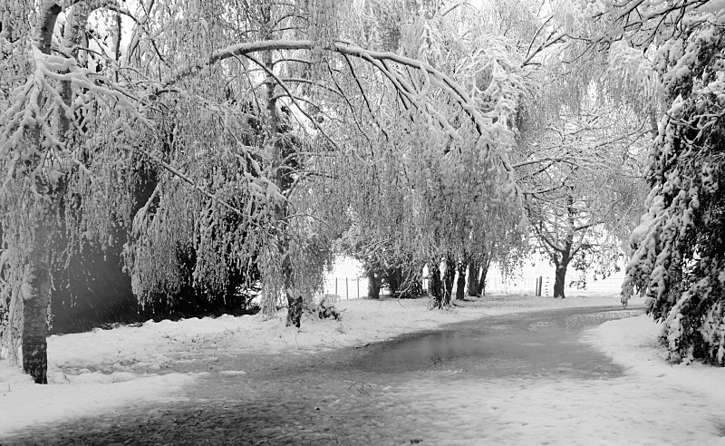 The driveway, aka: first snow of winter.