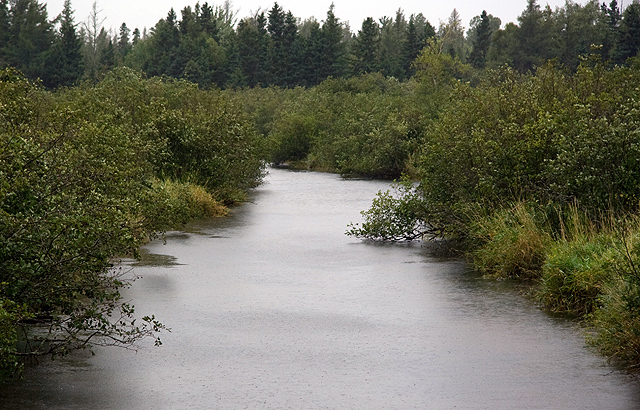 Up Stream
