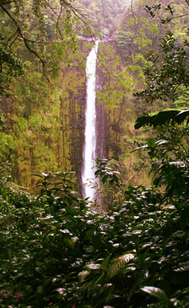 Akaka Falls.sm.jpg