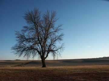 prarie.jpg