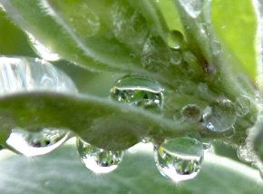 rain.jpg